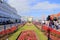 Carpet Gardens Eastnourne England