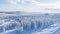 Carpet of snowy forest with gentle hills on horizon. Winter landscape of mountain valley under clouds