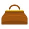 Carpetbag icon isolated