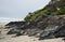 Carpinteria Beach, Tar Pit Park, Central Coast