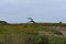 The Carpinteria California coastline looking to the Pacific, 3.