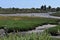 Carpinteria Salt Marsh Nature Park, 9.