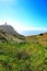 Carpobrotus Edulis meadow surrounding Cabo da Roca lighthouse in Portugal