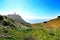 Carpobrotus Edulis meadow surrounding Cabo da Roca lighthouse in Portugal