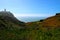 Carpobrotus Edulis meadow surrounding Cabo da Roca lighthouse in Portugal