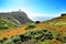 Carpobrotus Edulis meadow surrounding Cabo da Roca lighthouse in Portugal