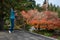 Carport rooftop view, fall color, woman pruning evergreen tree