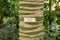 Carpoxykum Palm or Aneityum Palm, Carpoxylon macrospermum, tree trunk with name plate