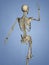 Carpus, Human Skeleton, 3D Model