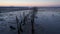 Carrasqueira Palafitic Pier in Comporta, Portugal at sunset