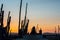 Carrasqueira Palafitic Pier in Portugal, at sunset