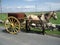 Carriage on Aran Islands