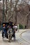 Carriage driver in top hat in Central Park, New York