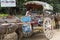 Carriage with horse, Burmese