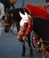 Carriage horse with crochet ear protectors