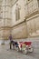 Carriage with horse in Majorca cathedral in Palma