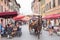 Carriage and horse on the street in Pisa, Italy