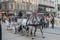 Carriage with horses, driver and tourists in Vienna on a sightseeing tour around the city