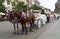 Carriage with horses in Krakow square