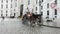 Carriage horses in Michaelerplatz in Vienna