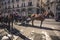 Carriage and horses in Palermo