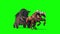 Carriage Horses Run Front Green Screen 3D Rendering Animation