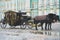 Carriage near the Winter Palace.