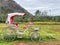 Carriage parking on the park with green field and mountain