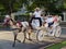 Carriage Ride in Merida Yucatan