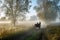 carriage ride through misty morning meadows, with horses and driver in view