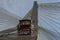 Carriage rising on a cable-stayed bridge in Sao Paulo, Brazil.