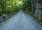 Carriage road in late summer, Acadia National Park, Maine, USA