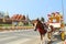 Carriage and temple in lampang,Thailand