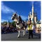 Carriage at Walt Disney World parade party