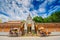 Carriages in front of Wat Phra That Lampang Luang