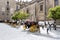 Carriages of Horses stationary in front of Seville Cathedral