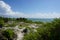 Carribean coast, tropical plants growing on the cliff