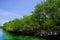 Carribean landscape on Isla Grande, Rosario Archipelago