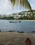 Carribean sandy Beach with boat palm tree