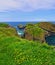 Carrick-a-Rede tiny Irish Coastal Island with suspension bridge and walking path