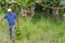 Carring Harvested Bananas