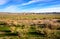 Carrizo Plain National Monument