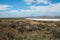 Carrizo Plain National Monument, California. Soda Lake, native plants, mountains, and cloudy sky