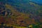 Carrizo Plains National Monument Superbloom aerial