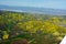 Carrizo Plains National Monument Superbloom aerial