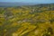 Carrizo Plains National Monument Superbloom aerial