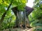 Carroll County, Arkansas, U.S - June 23, 2022 - The unique architecture of the Thorncrown Chapel