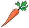 Carrot