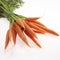 Carrot, aucus carota, Vegetables against White Background