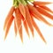 Carrot, aucus carota, Vegetables against White Background